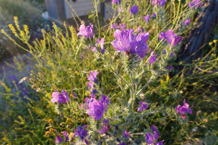 Dsc00932