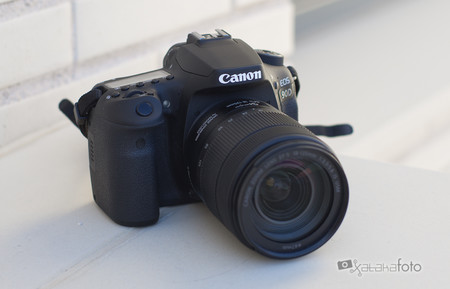 Canon Eos 90d Review 16