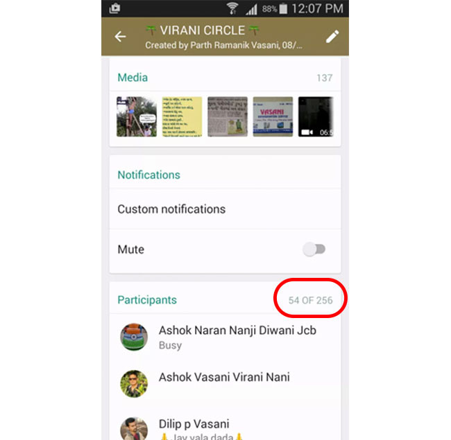Grupo de WhatsApp de 256 usuarios