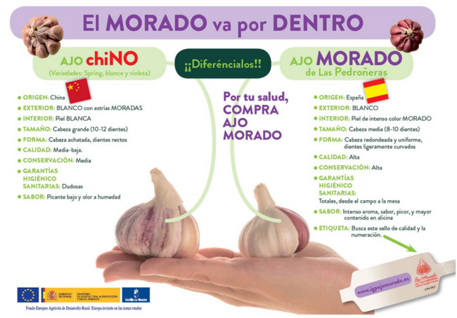 Campana Ajo Chino Y Espanol