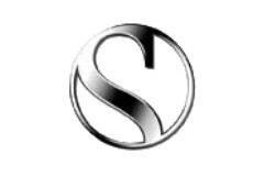 logo-lotus-f1-team.jpg
