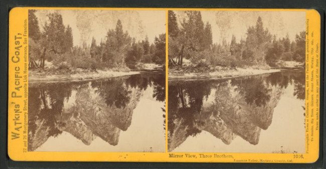 Nypl Digitalcollections 510d47e0 3dc1 A3d9 E040 E00a18064a99 001 W