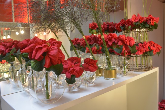 Poinsettia En Jarrones