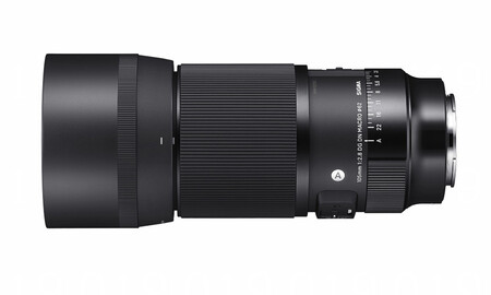 Sigma 105mm F28 Dg Dn Macro Art 4