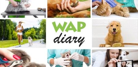 WAP Diary es una completa aplicación para gestionar todos los cuidados de tu mascota