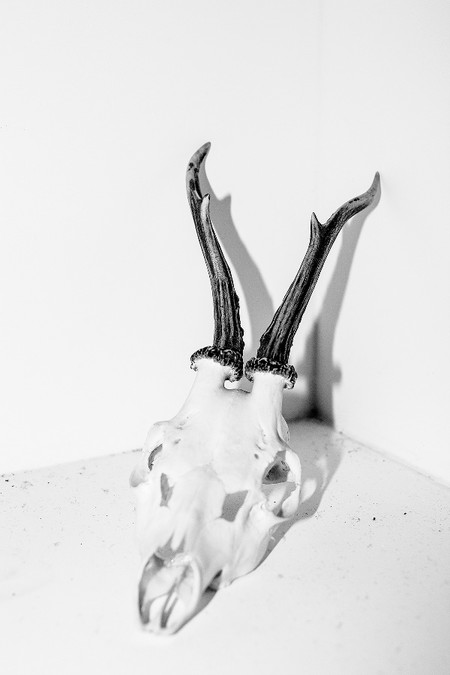 Shrinky Recipe 2019 On Rape C Courtesy Laia Abril And Galerie Les Filles Du Calvaire