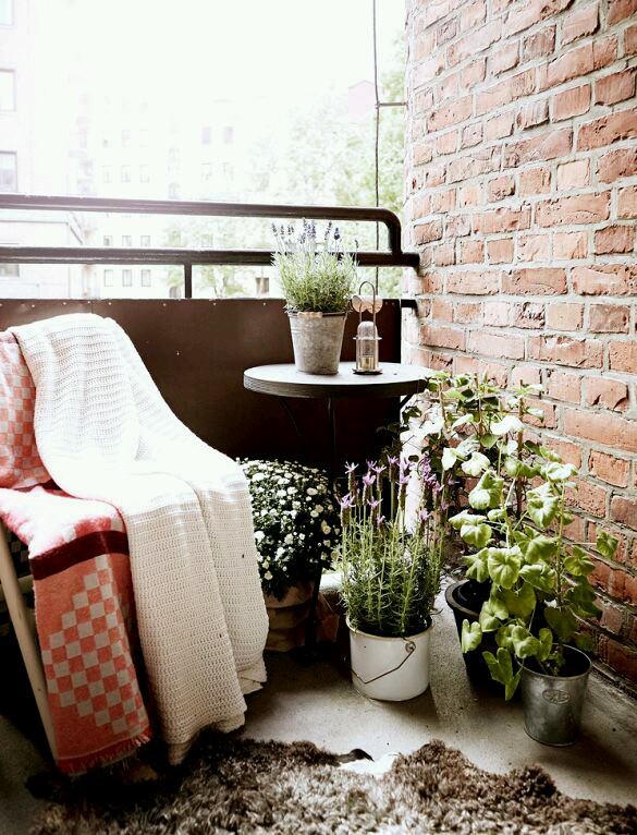 Pared Ladrillo