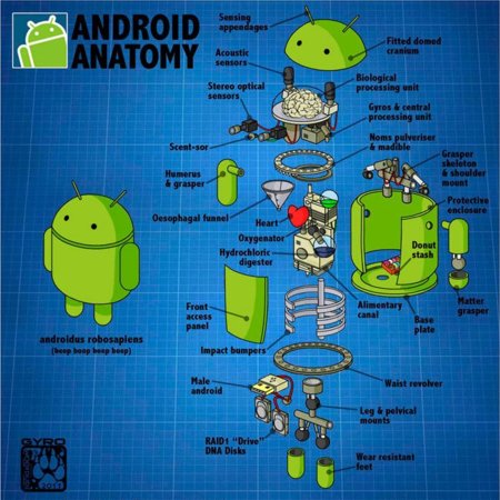 La imagen de la semana: la anatomía de un Android