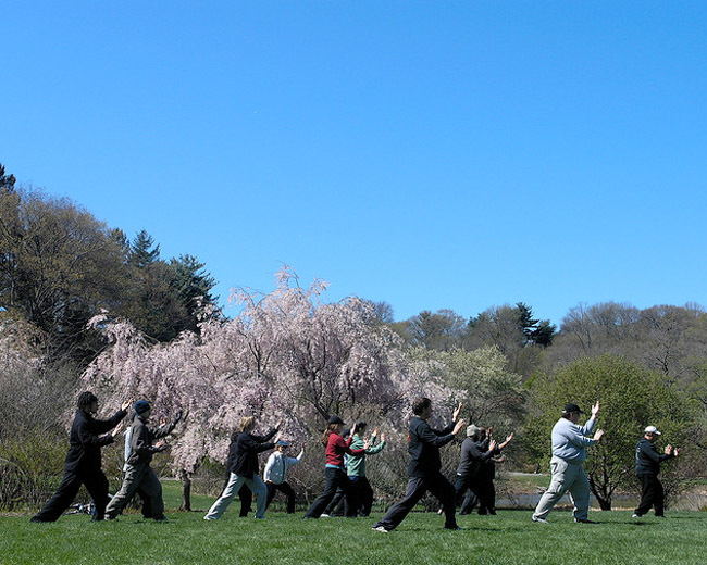 Taichi