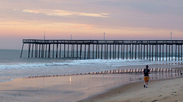 the bridge
