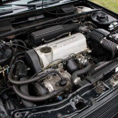 240_240.jpg