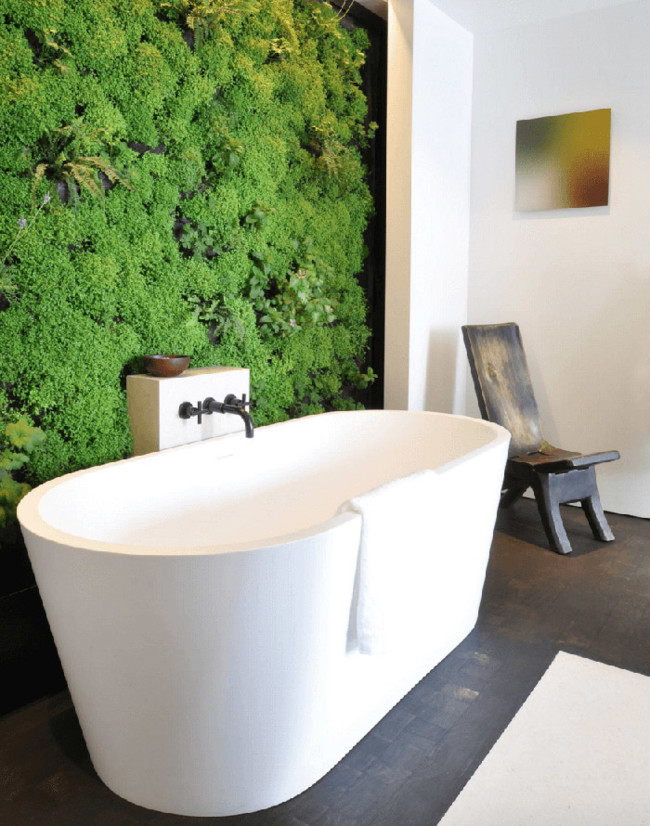 Pared Planta