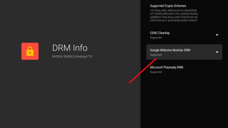 Netflix Certificado Android Tv