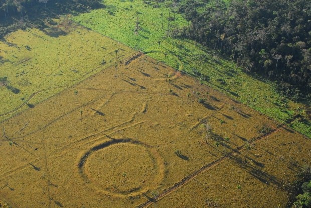 Amazon Geoglyphs