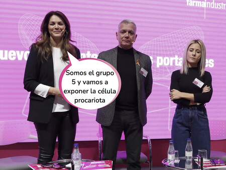 Bocatones