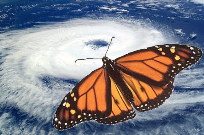 EFECTO MARIPOSA II efecto mariposa ii: