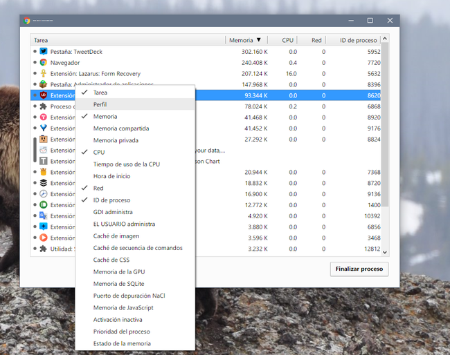 Chrome Program Manager