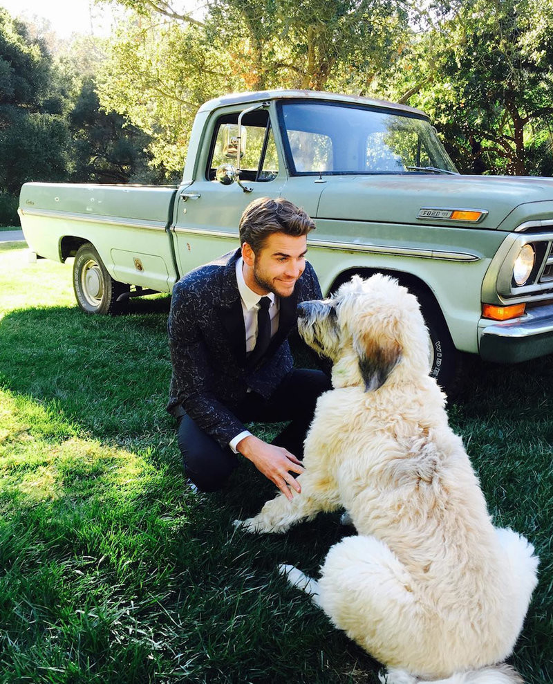 Liam Hemsworth y Dora