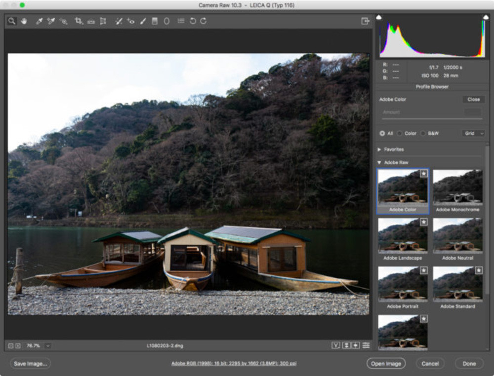 Adobe Lightroom Camera Raw Update 05