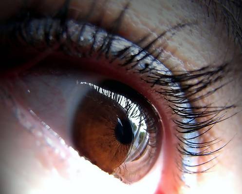 La cosmética israelí la crema de las arrugas alrededor de los ojos