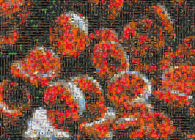45218968 C1eae0eb00 B