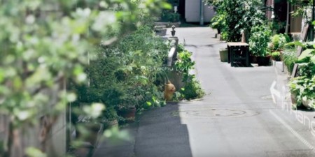 La beta de Pokémon GO se extiende a América