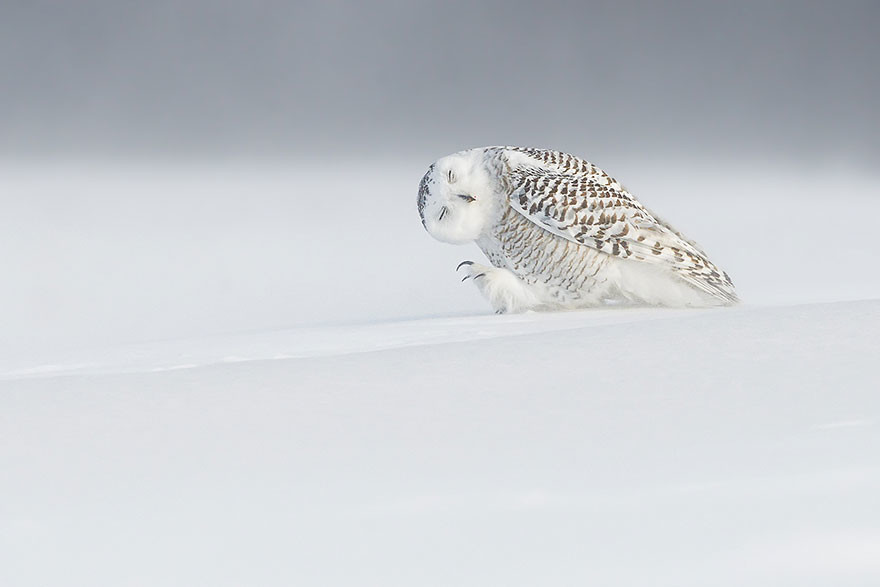 National Geographic Photo Of The Day Internet Favorites 2015 43 880