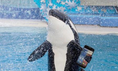 Google Shamu, futurible Nexus 6, aparece en Antutu junto con unas impresionantes especificaciones