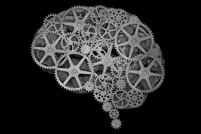 Cerebro