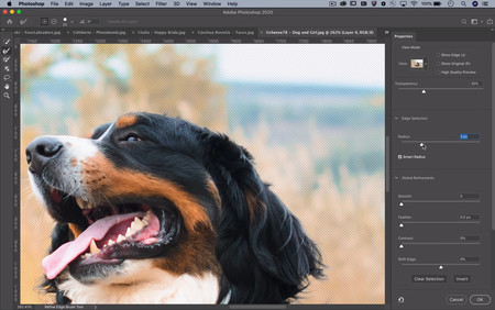 Photoshop 003