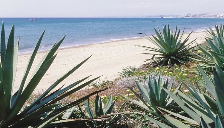 Playa de Río Real (Marbella, Málaga)