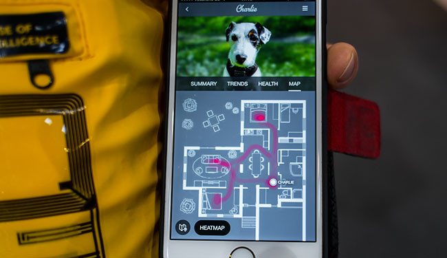 App de Sense of Intelligence