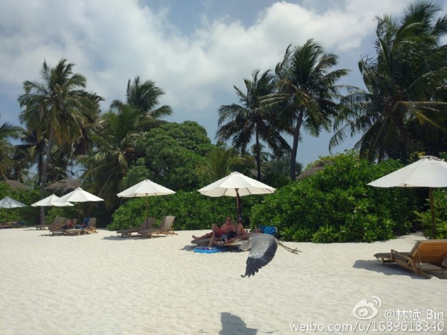 Foto2 Xiaomi Mi5