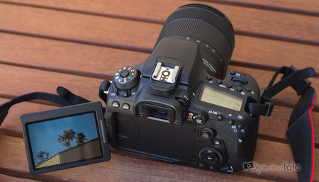 Canon Eos 90d Review 7