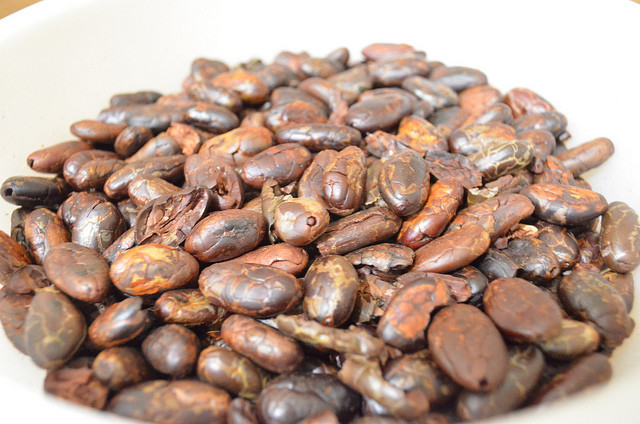 semillas cacao