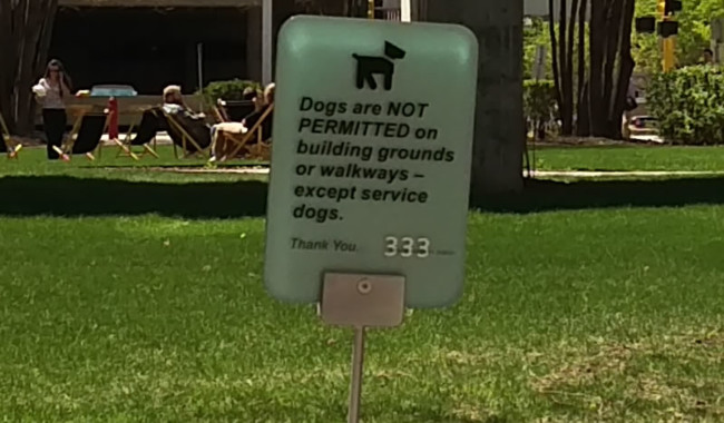 Dog 1