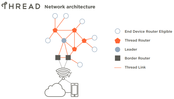 Thread Architecture W 600