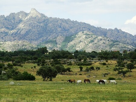 Parque Natural de la Pedriza