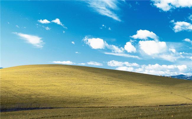 Windows XP