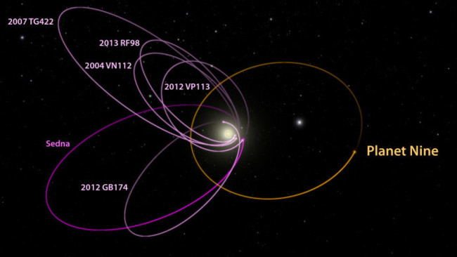 Orbitas