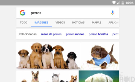Google renueva su buscador de imágenes en dispositivos móviles