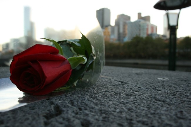 Rosas3