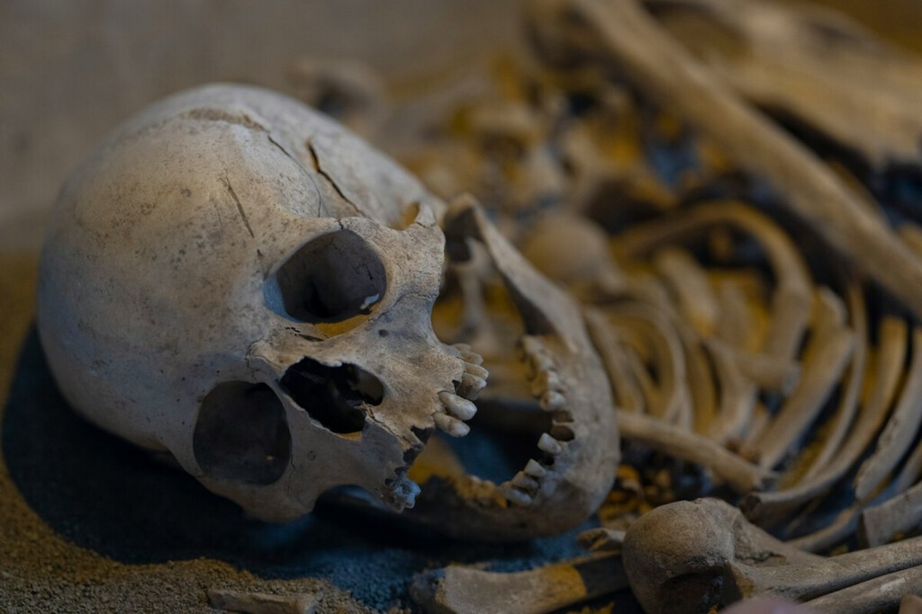 A pré-história também era "woke": uma mulher de 7 mil anos sugere que o gênero não era uma barreira intransponível