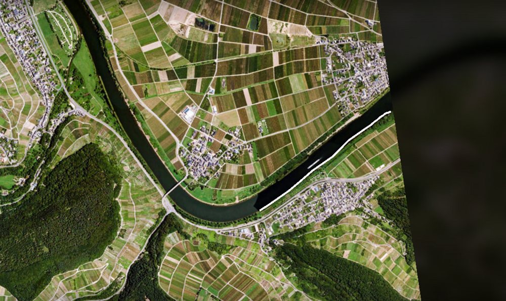 Rhin