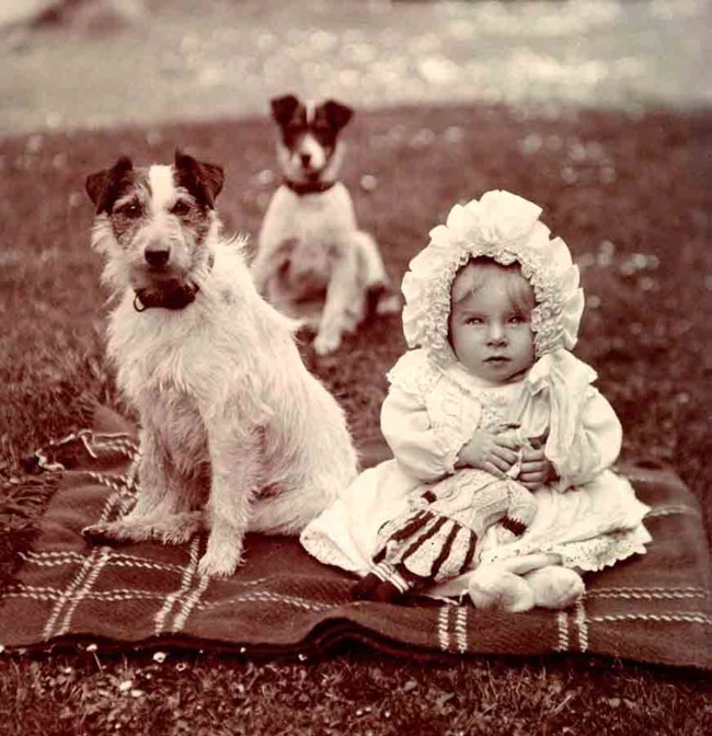 Libbyhallcoleccionperros 4
