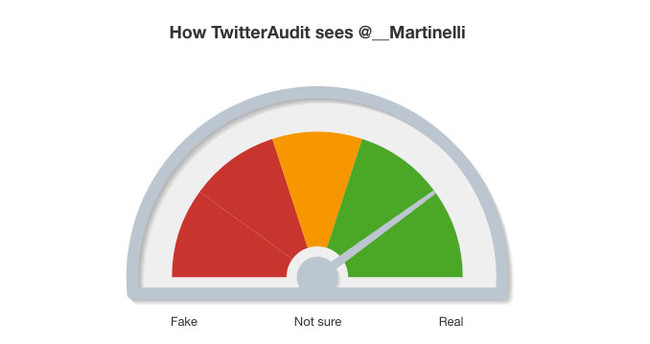 TwitterAudit