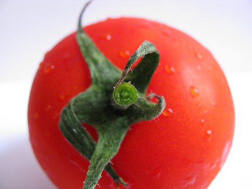 Una píldora de tomate reduce el colesterol Una píldora de tomate reduce el colesterol