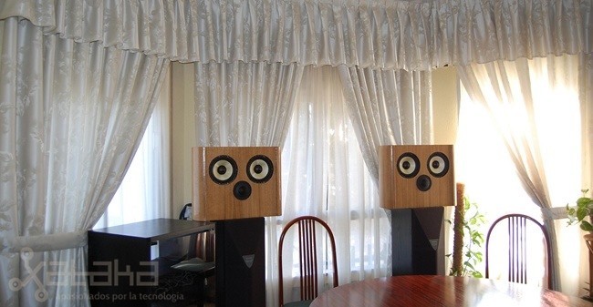 Altavoces traseros