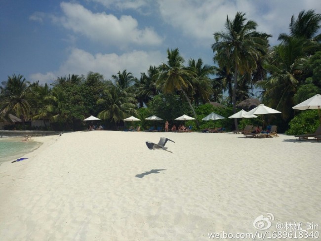 Foto1 Xiaomi Mi5