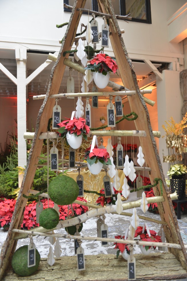 Macetas Colgantes De Poinsettias
